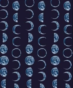 Retrolicious Skater Skirt In