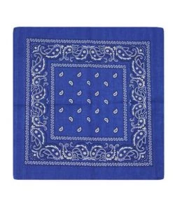 Kitty Deluxe Cotton Bandana In Royal Blue Paisley Accessories