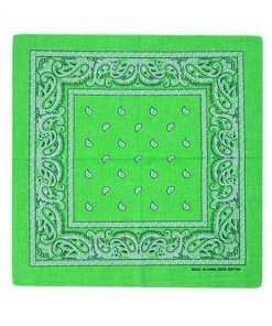 Kitty Deluxe Cotton Bandana In Green Paisley