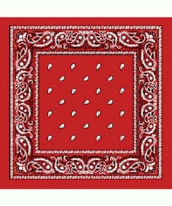 Accessories Kitty Deluxe Cotton Bandana In Red Paisley